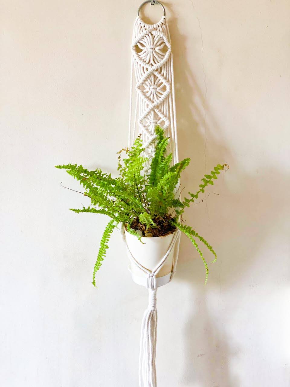 Fitoori Banjaaran's Handcrfted Macrame Plant Hangers